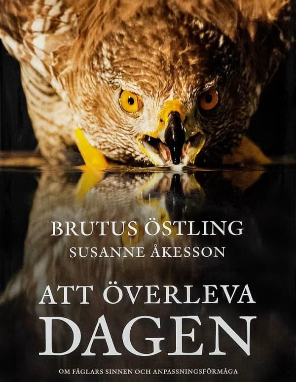 Överleva