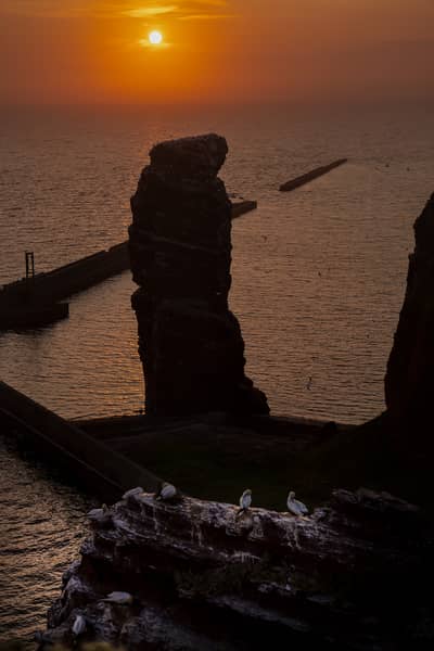 Helgoland Extra insatt — 2