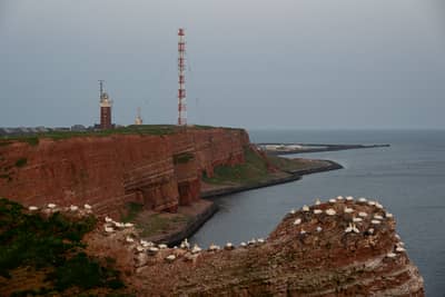 Helgoland Extra insatt — 36