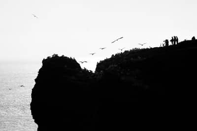 Helgoland Extra insatt — 37