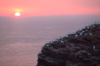 Helgoland Extra insatt — 38