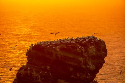 Helgoland Extra insatt — 21