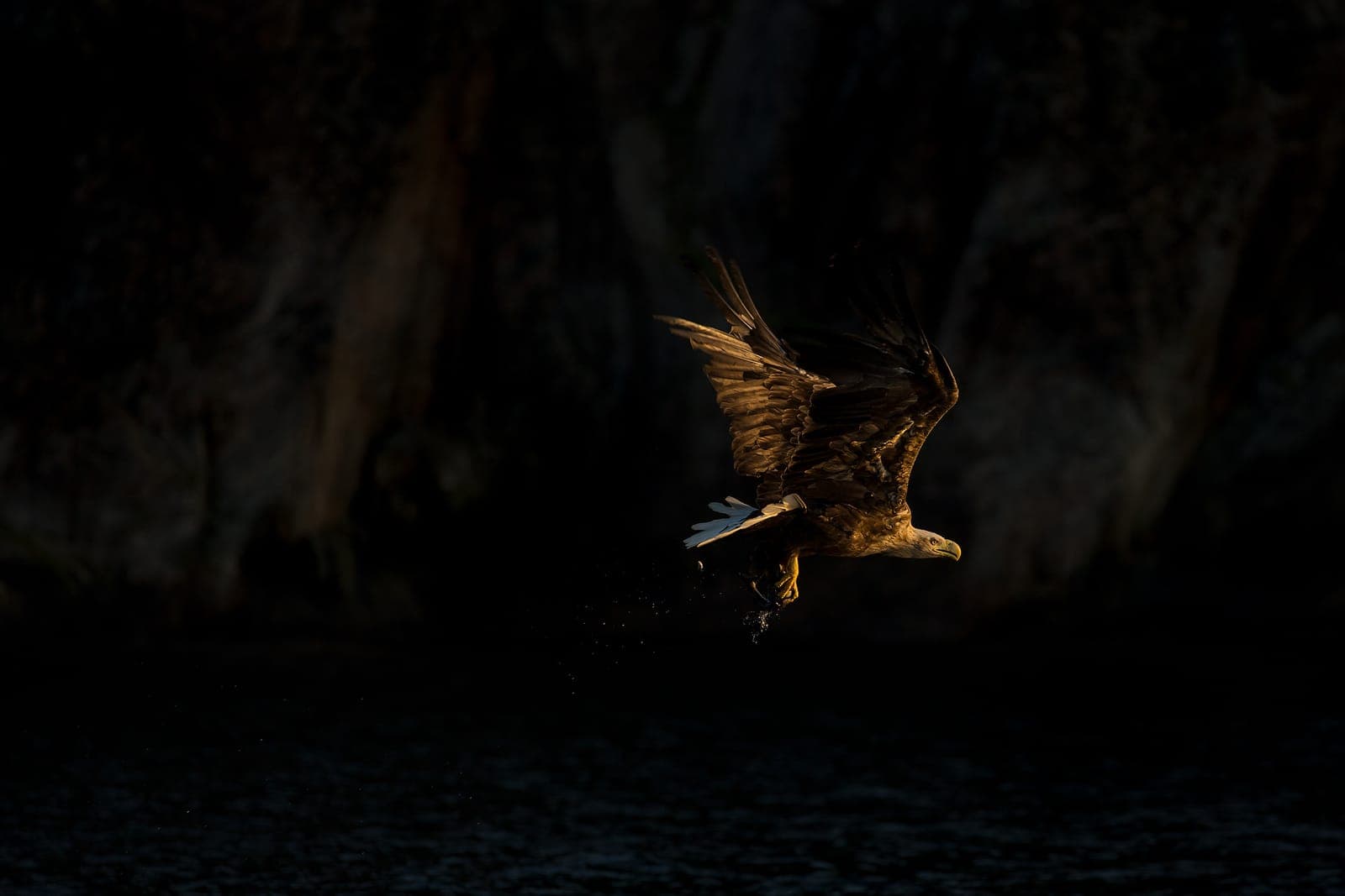 Örnarnas rike — 9