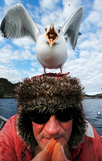 Örnarnas rike — 19