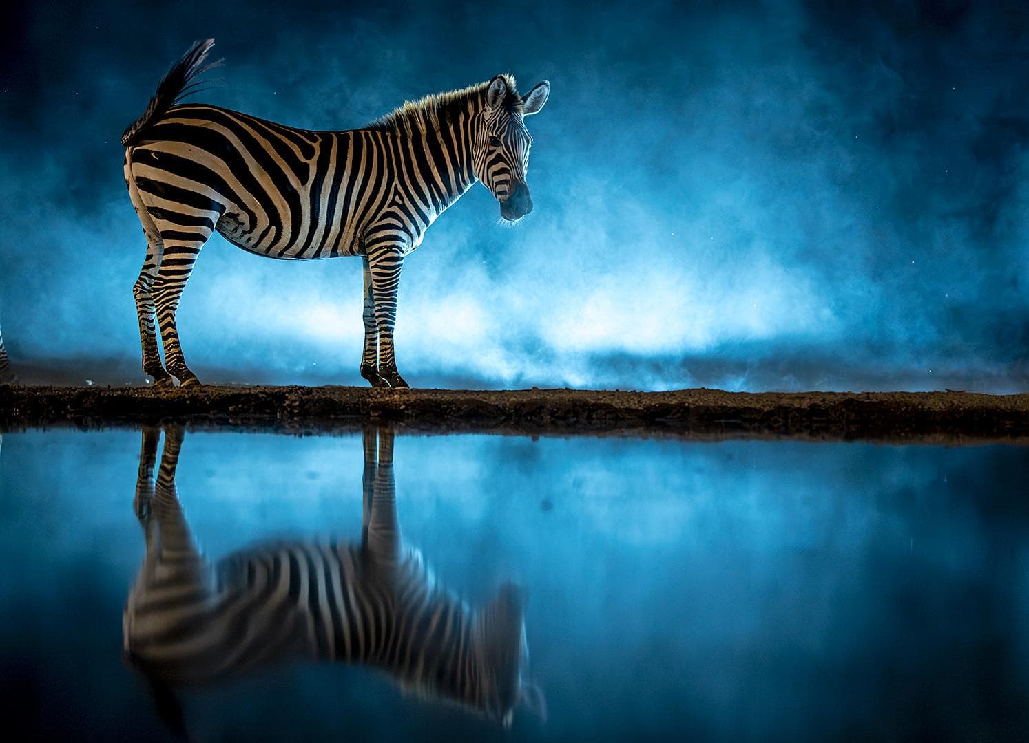 Gömslefotografering i Shompole Wilderness — 13