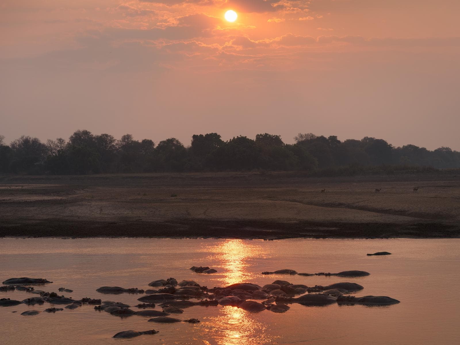 South Luangwa — 35