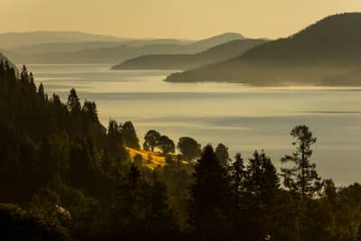 Tjäder och havsörn — 34