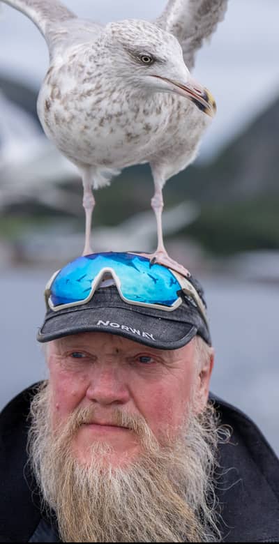 Tjäder och havsörn — 7