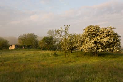 Ungern vår 2026 — 36