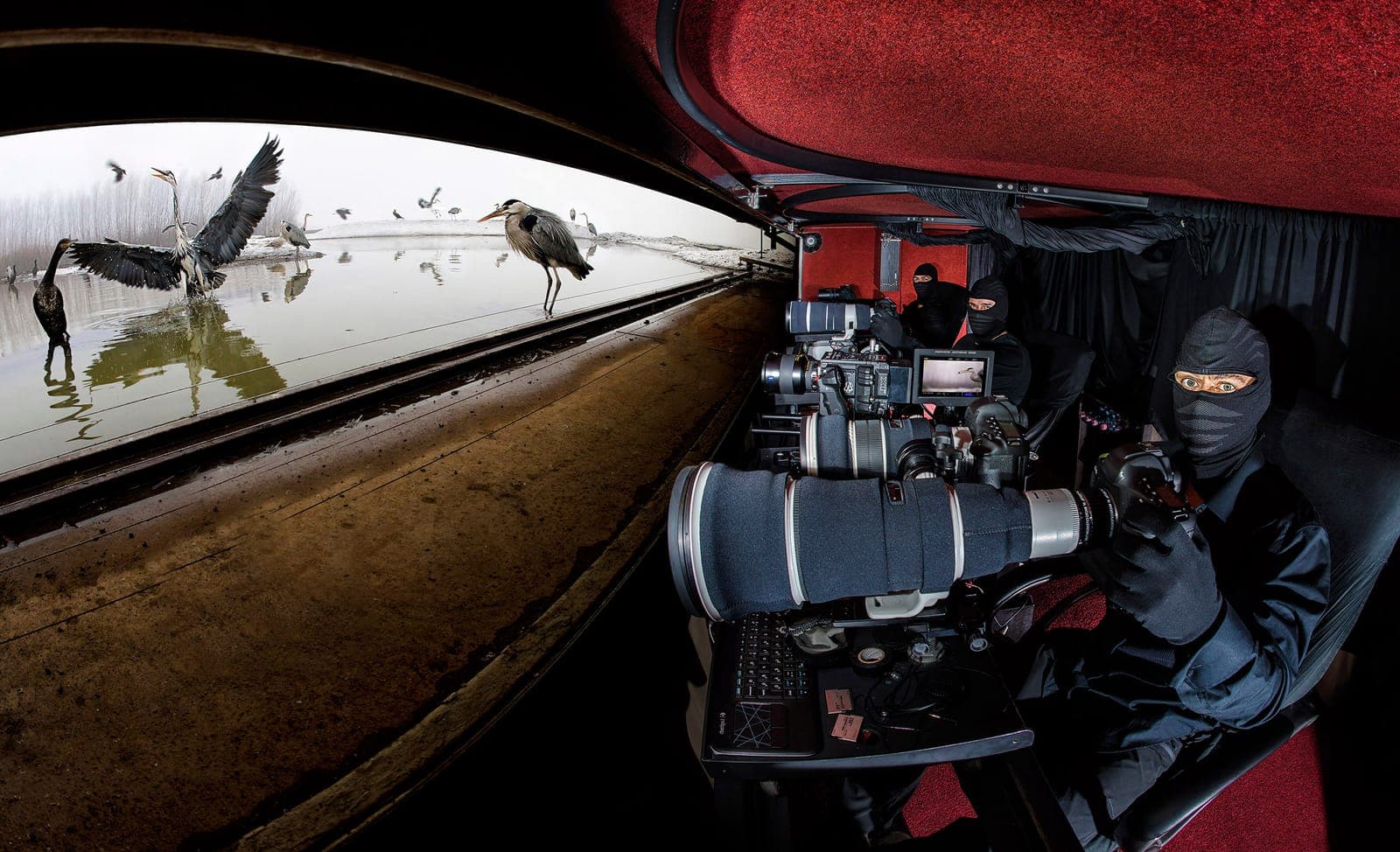 Ungern — Europas bästa fågelgömslen