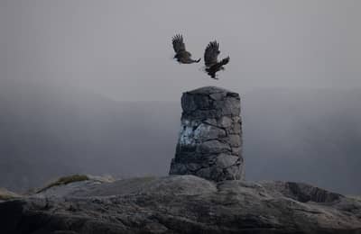 Vinter i örnriket — 34